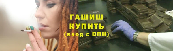 прущие грибы Алзамай