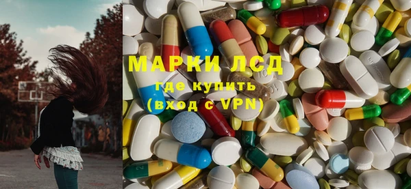 прущие грибы Алзамай